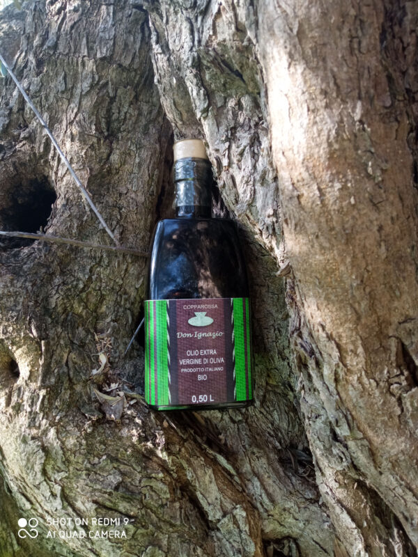 Olio Extravergine di Oliva bio "Don Ignazio" 0,50L - immagine 2